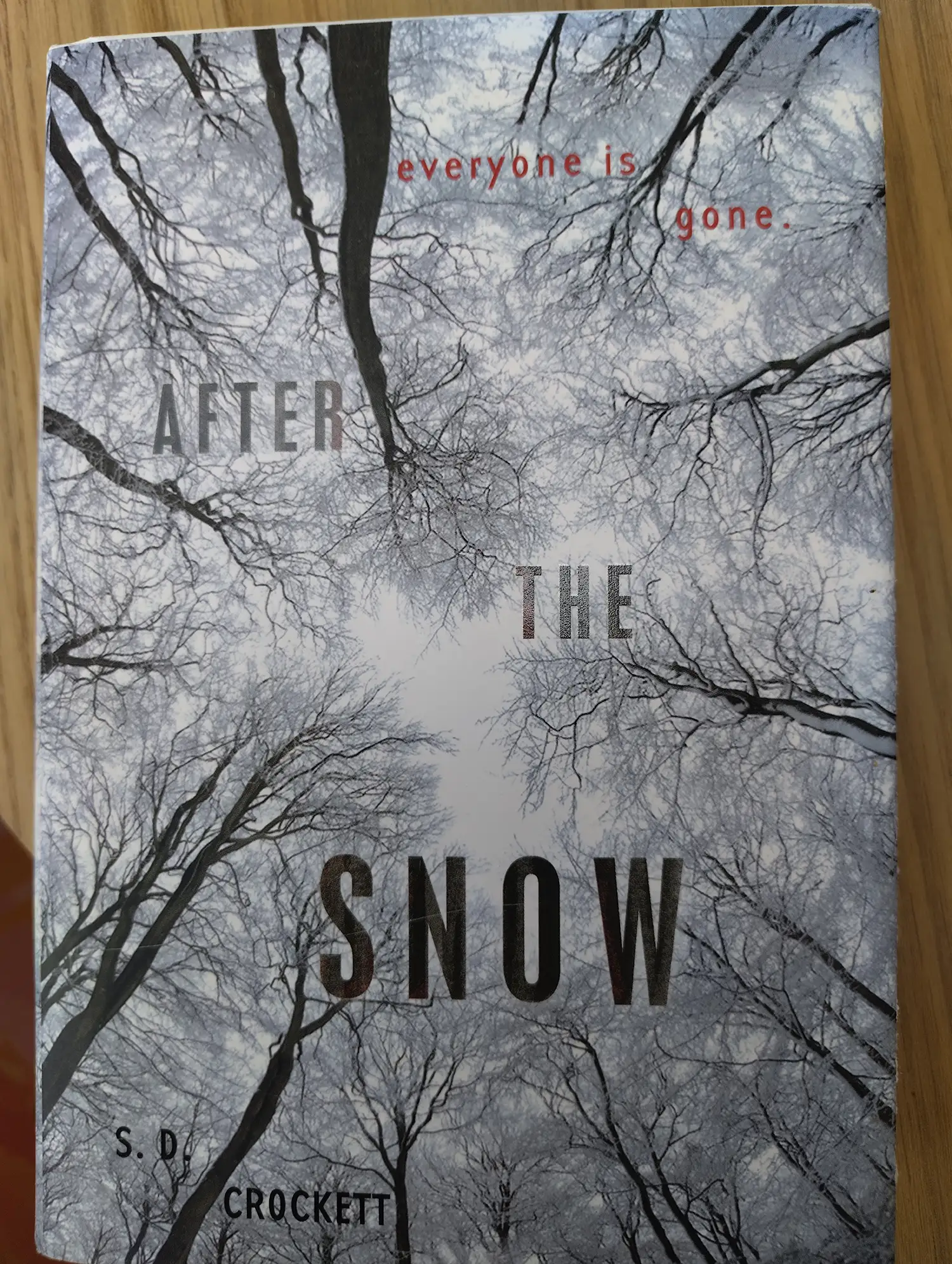 Book cover of After the Snow by S. D. Crockett featuring a woodland canopy photograph by landscape photographer Paul M. Newbery.