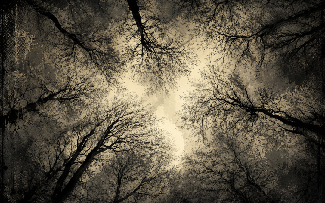 How One Photograph Became a Book Cover and Inspired My Writing