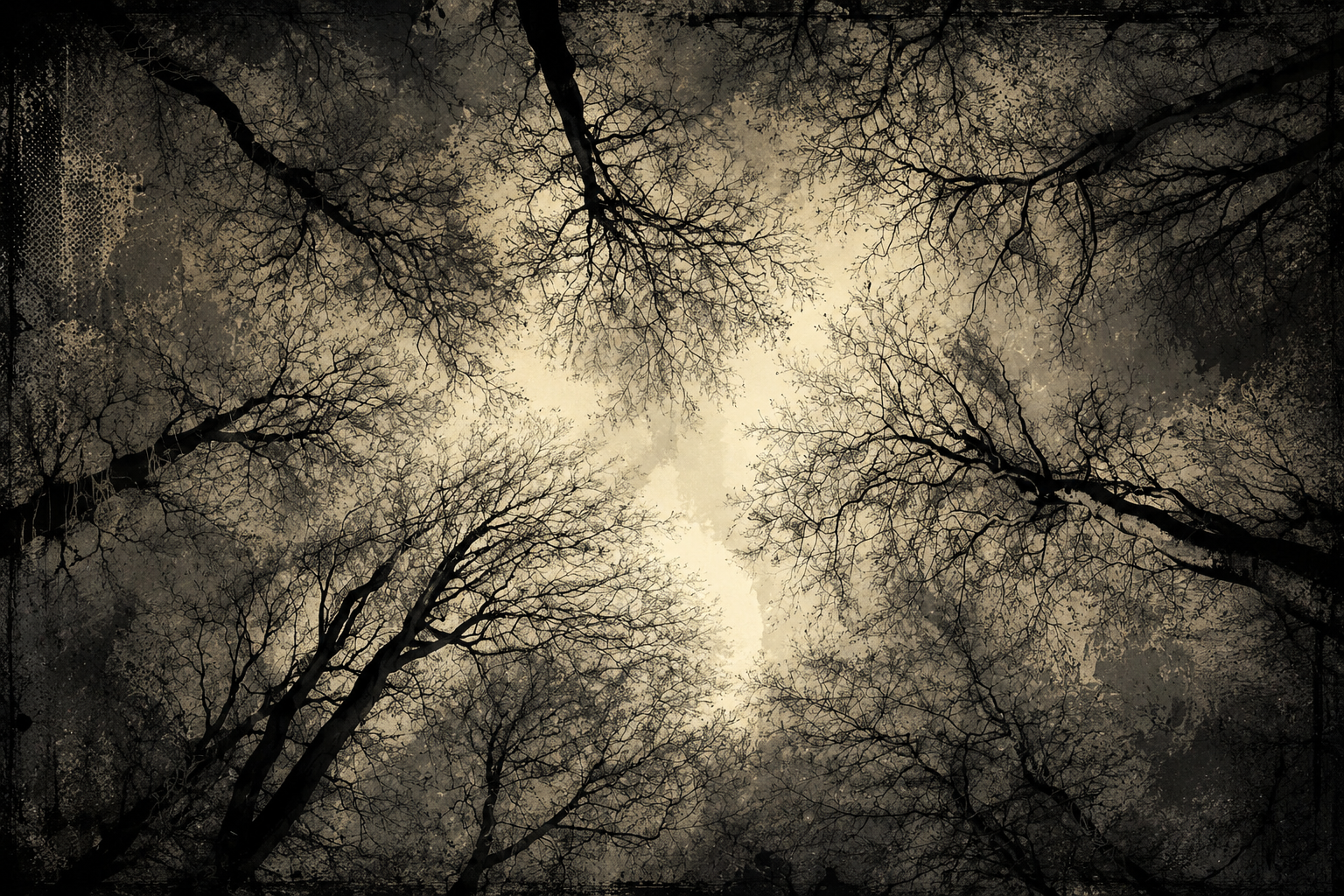 Bare winter trees photographed from below in woodland, the image that became a published book cover and later inspired the atmosphere of my novel.